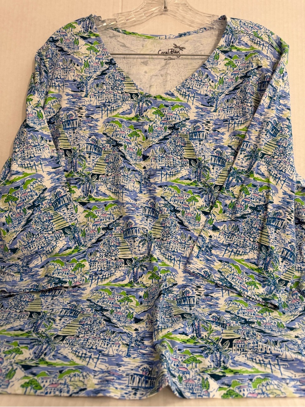 Coral Bay Scenic V-Neck Print Top in Blue and Green